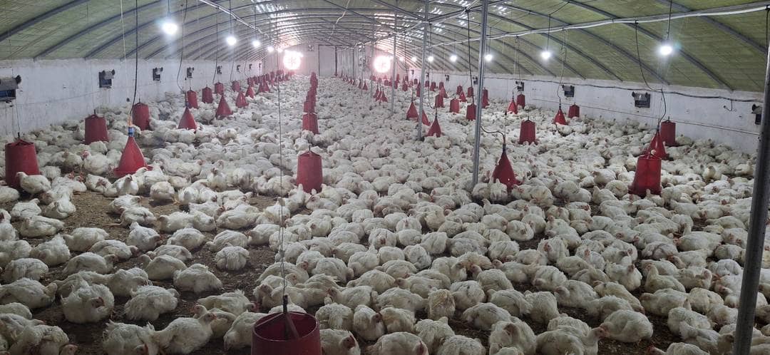Ferme a vendre 3