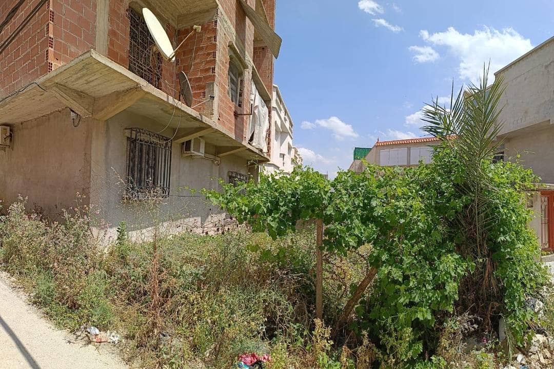 Vente carcasse cité el hanaa boussouf 5