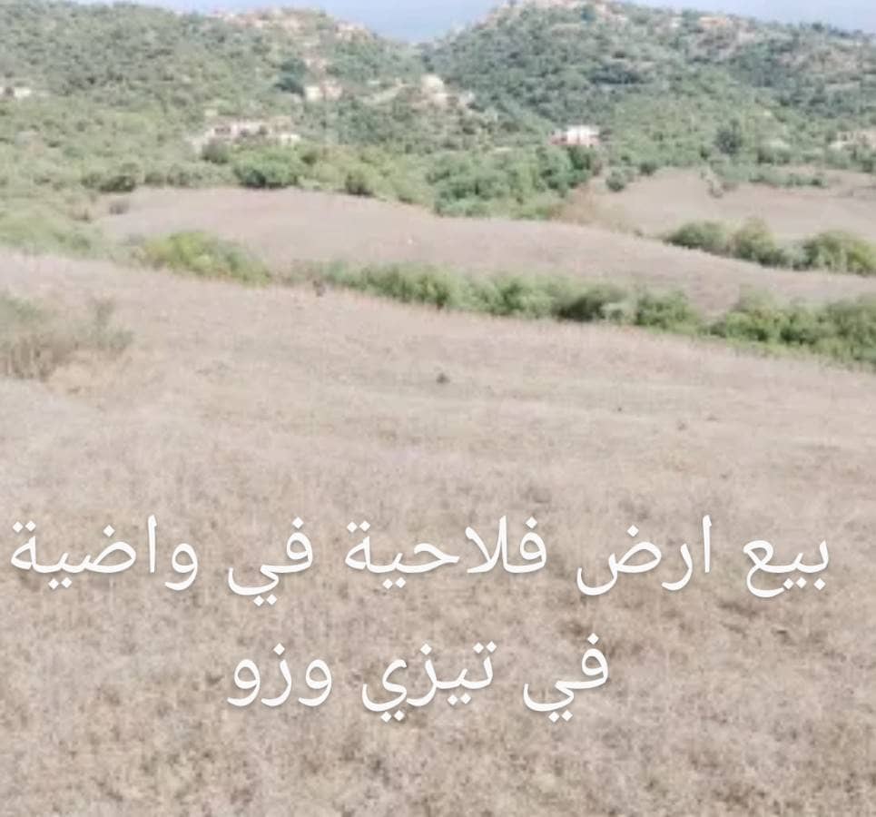 Vente de terrain agricole situé à ouadhia tiziouzou