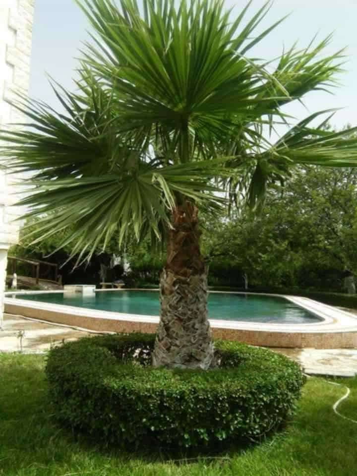 Villa avec piscine et grand jardin à ouled rahmoune 15