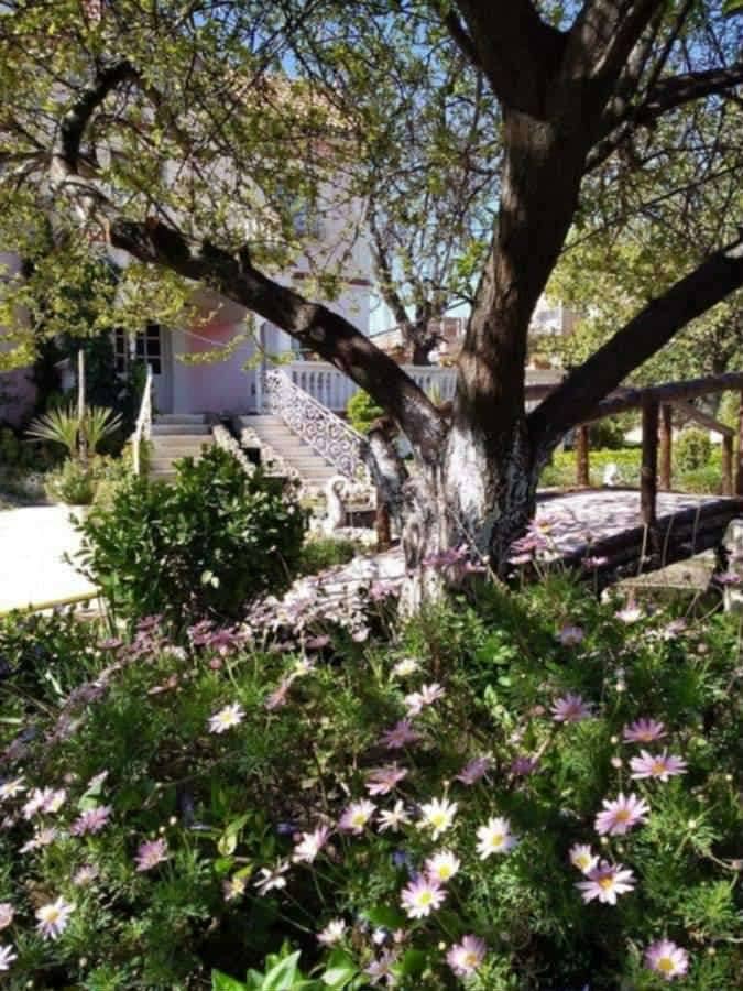 Villa avec piscine et grand jardin à ouled rahmoune 2