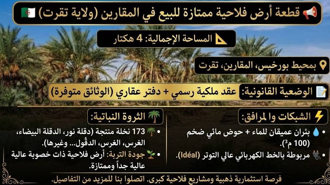 📣 excellent terrain agricole à vendre à el m'ghair (province de touggourt) 4