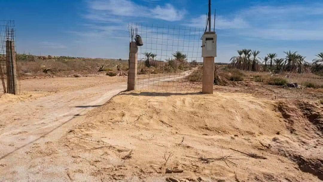 📣 excellent terrain agricole à vendre à el m'ghair (province de touggourt) 3