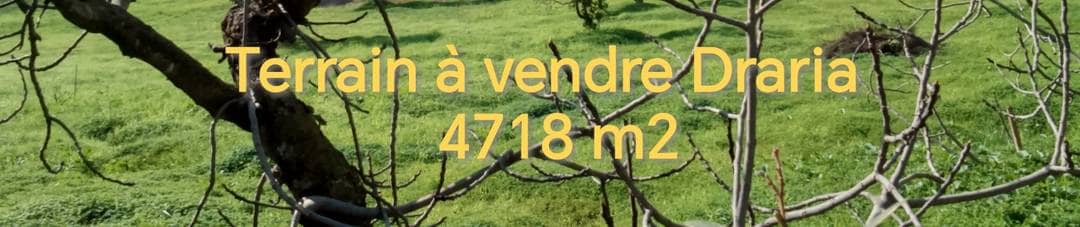 Terrain promotionnel à draria 4700
