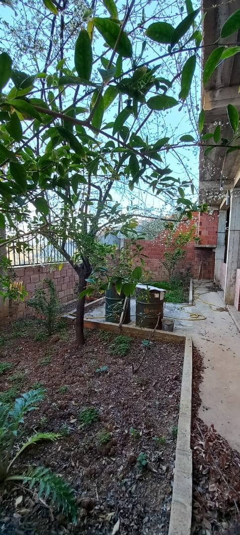 Vente maison en clos couvert bejaia 06000 5