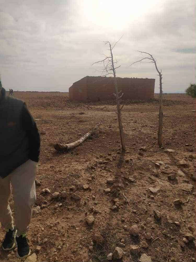 Terrain à de 13 hectares à vendre – hassi fedoul, wilaya de djelfa 6