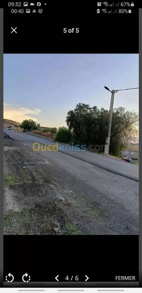 قطعة أرض صالحة للبناء أو الإستثمار 3