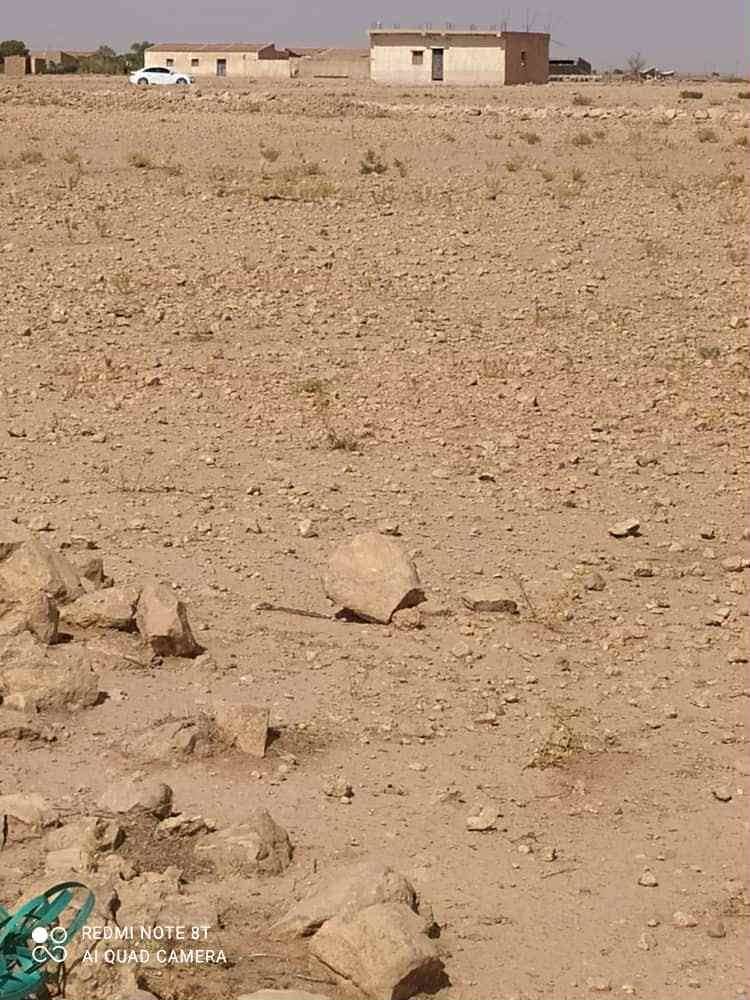 Terrain à de 13 hectares à vendre – hassi fedoul, wilaya de djelfa 2