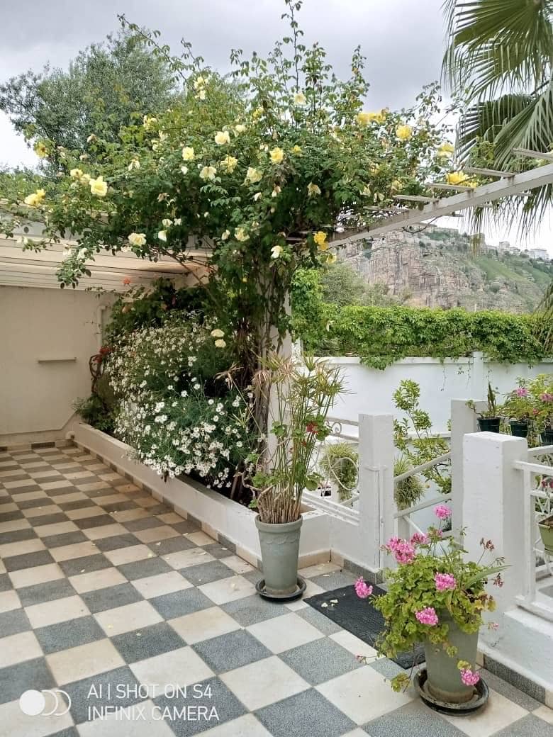 Villa à vendre 12