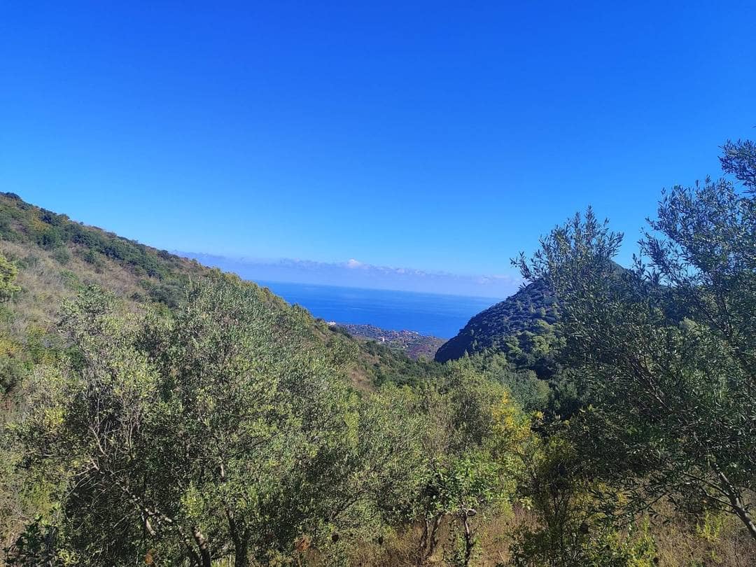 Vente terrain