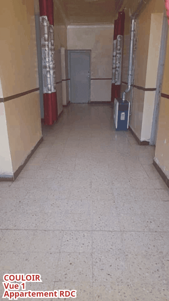 🏡 maison 2 façades à vendre – chabaat el leham, ain témouchent (algérie) 13
