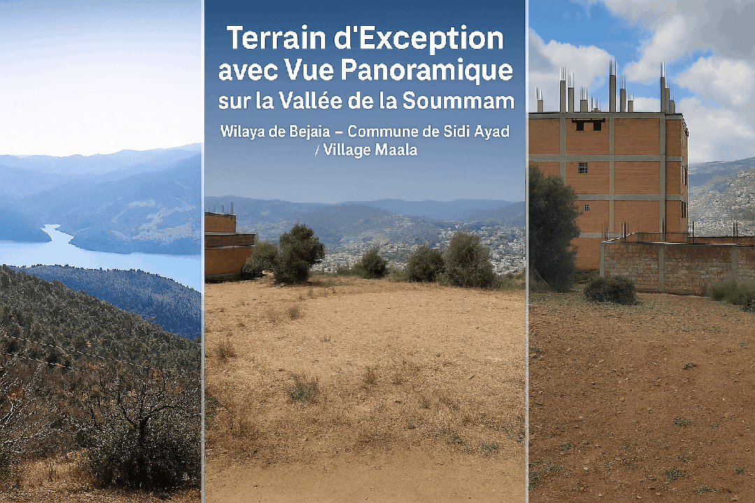 Terrain d’exception avec vue à couper le souffle sur la vallée de la soummam – sidi-ayad -wilaya de béjaïa 2
