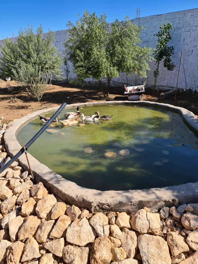 Vente ferme djelfa 7