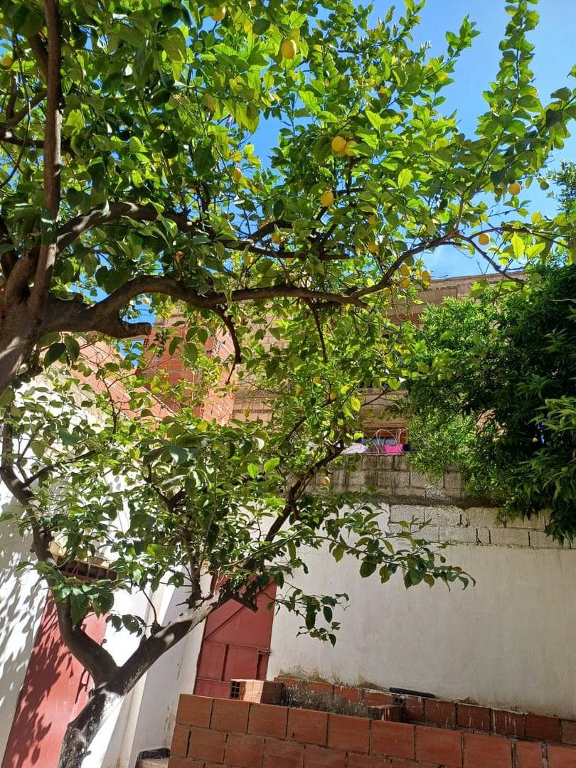 Immeuble r+3 à vendre 4