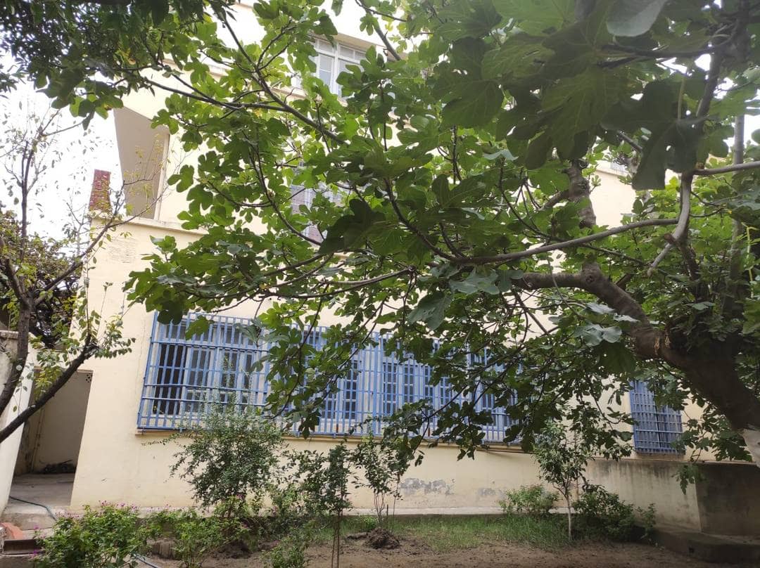 Immeuble r+3 à vendre 5