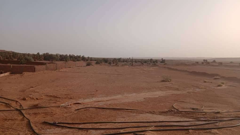 Terrain timimoun 9000m² 4