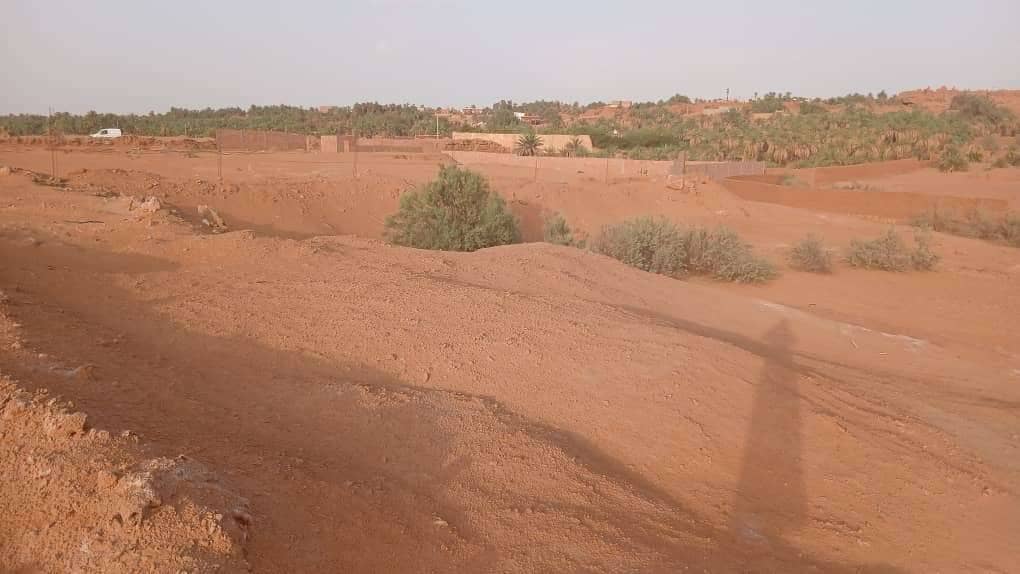Terrain timimoun 9000m² 2