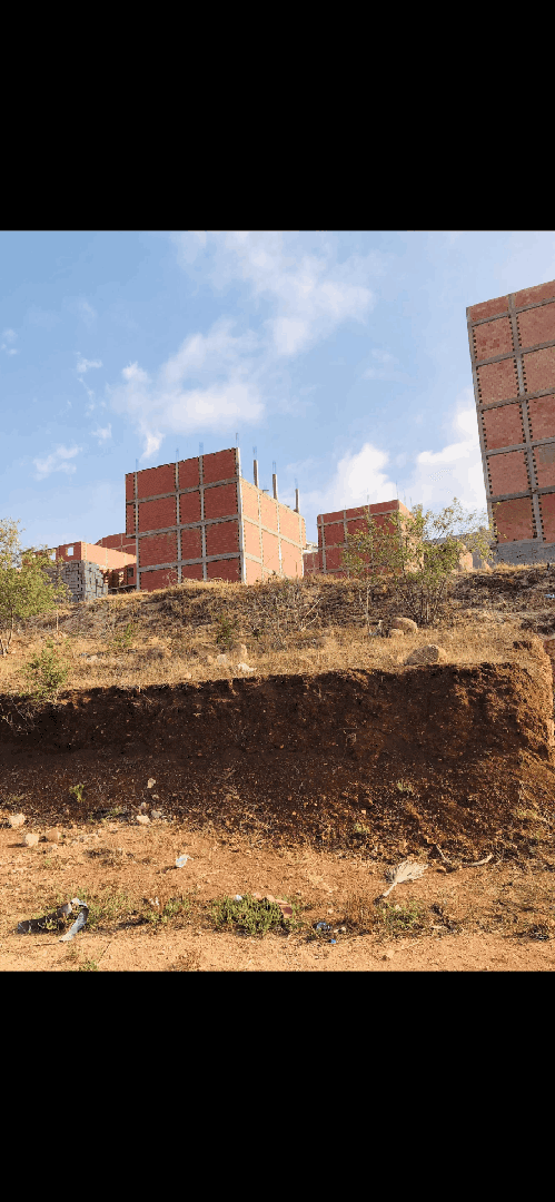 Vente lot terrain tlemcen nedroma 2