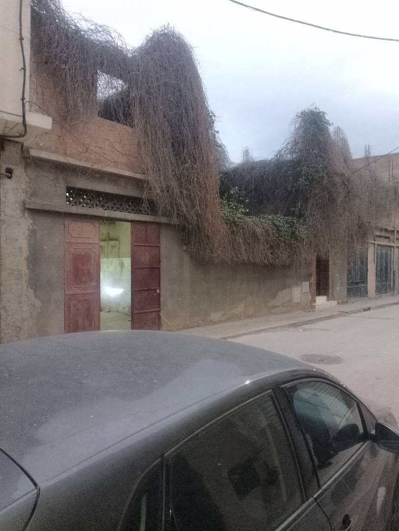 ارض للبيع وسط مدينة وهران boulanger 3