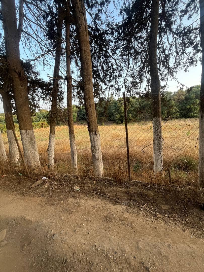 À vendre – terrain agricole entre kolea et barbissa 4
