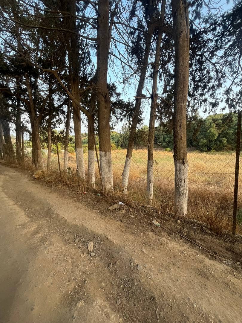 À vendre – terrain agricole entre kolea et barbissa