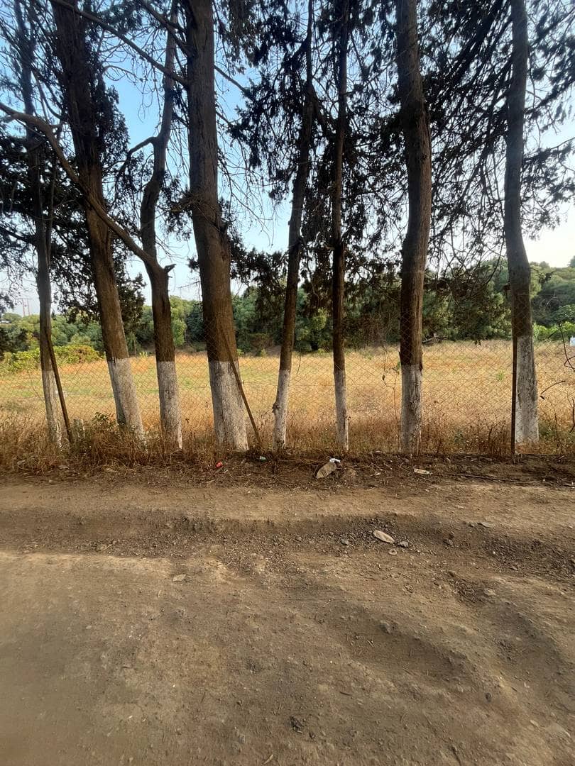 À vendre – terrain agricole entre kolea et barbissa 3