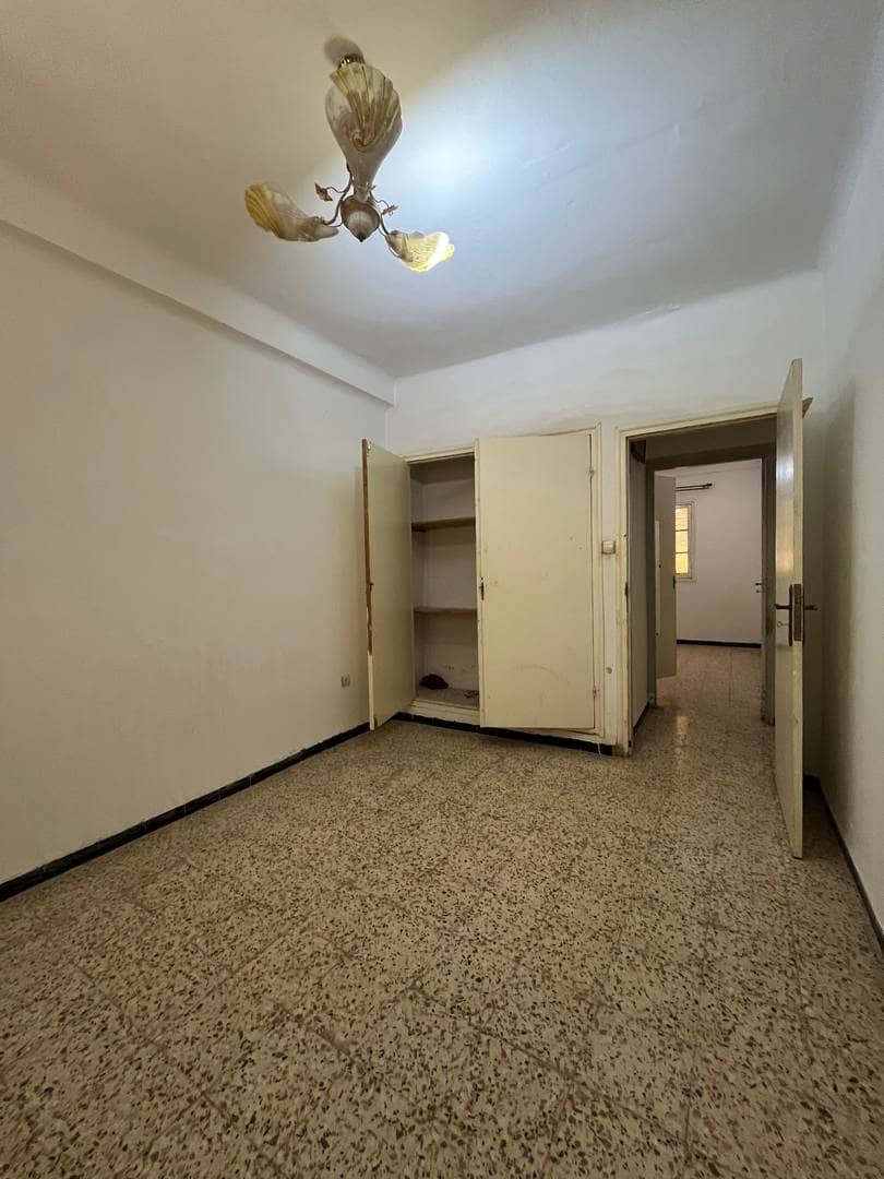 🏡 à louer – appartement f4 à kerkouba, koléa 11