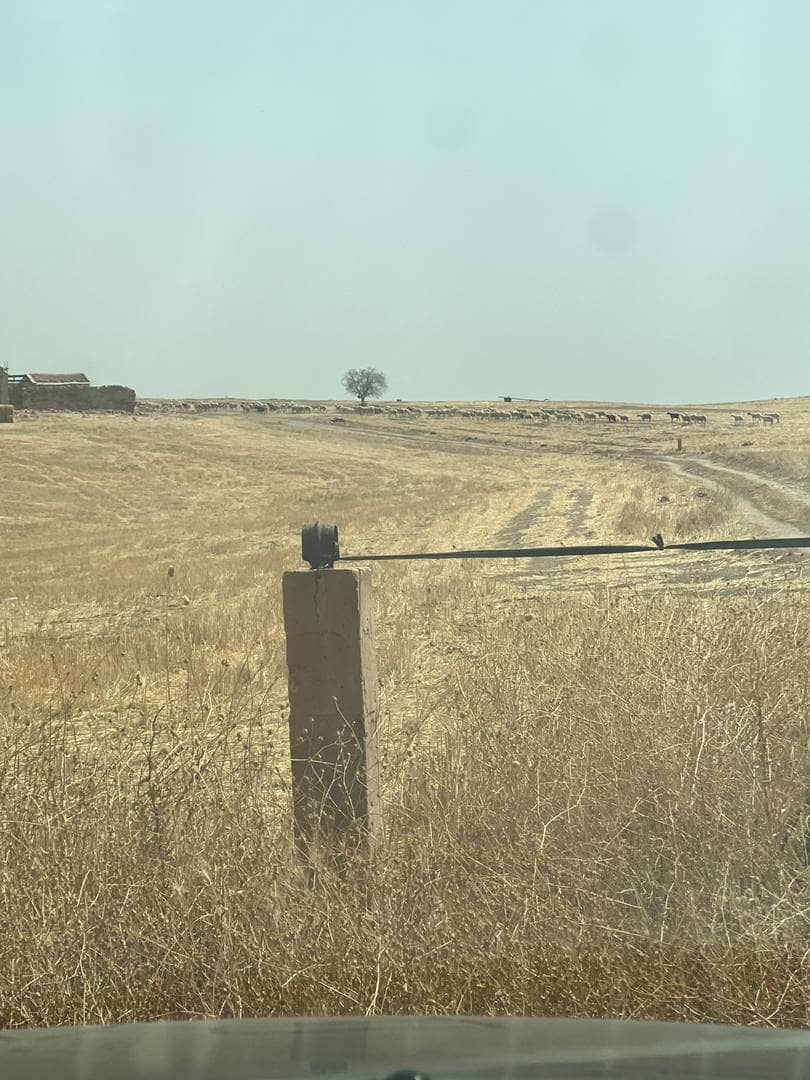 Terrain agricoles ttc 4