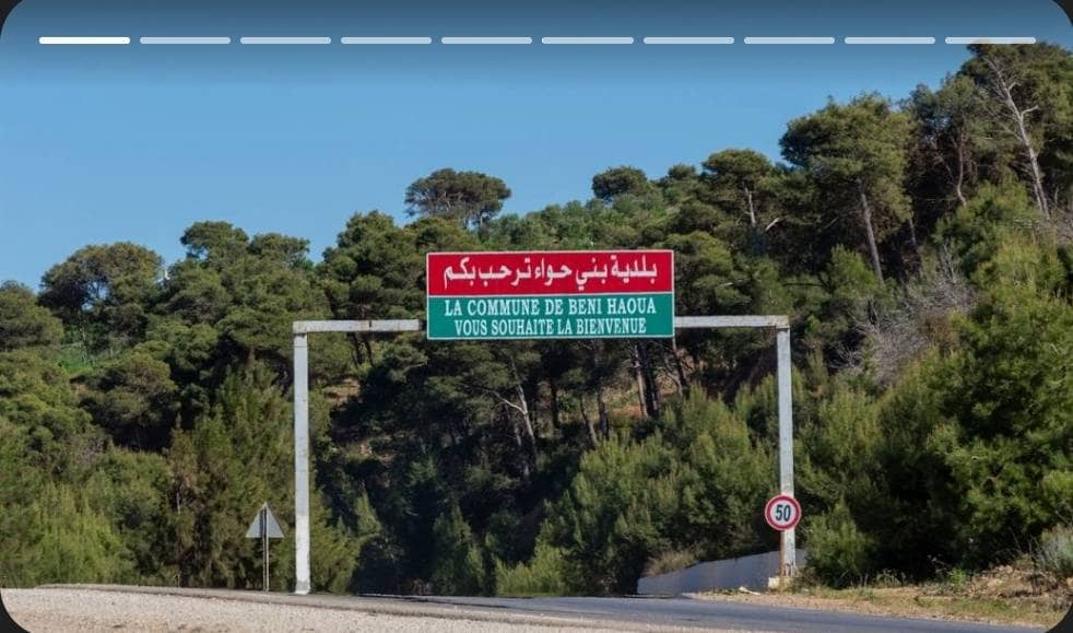 Vend terrain chlef beni haoua 17hec