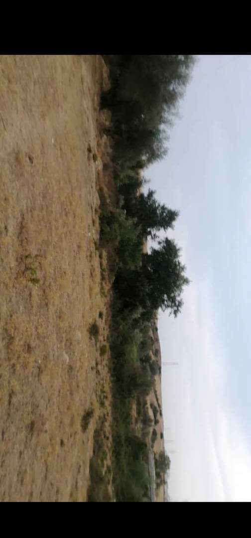 Vente de terrain à chaddia commune de kaous (jijel) 2