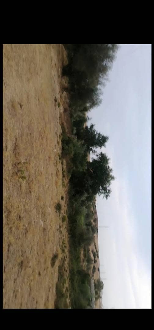 Terrain a vendre 2