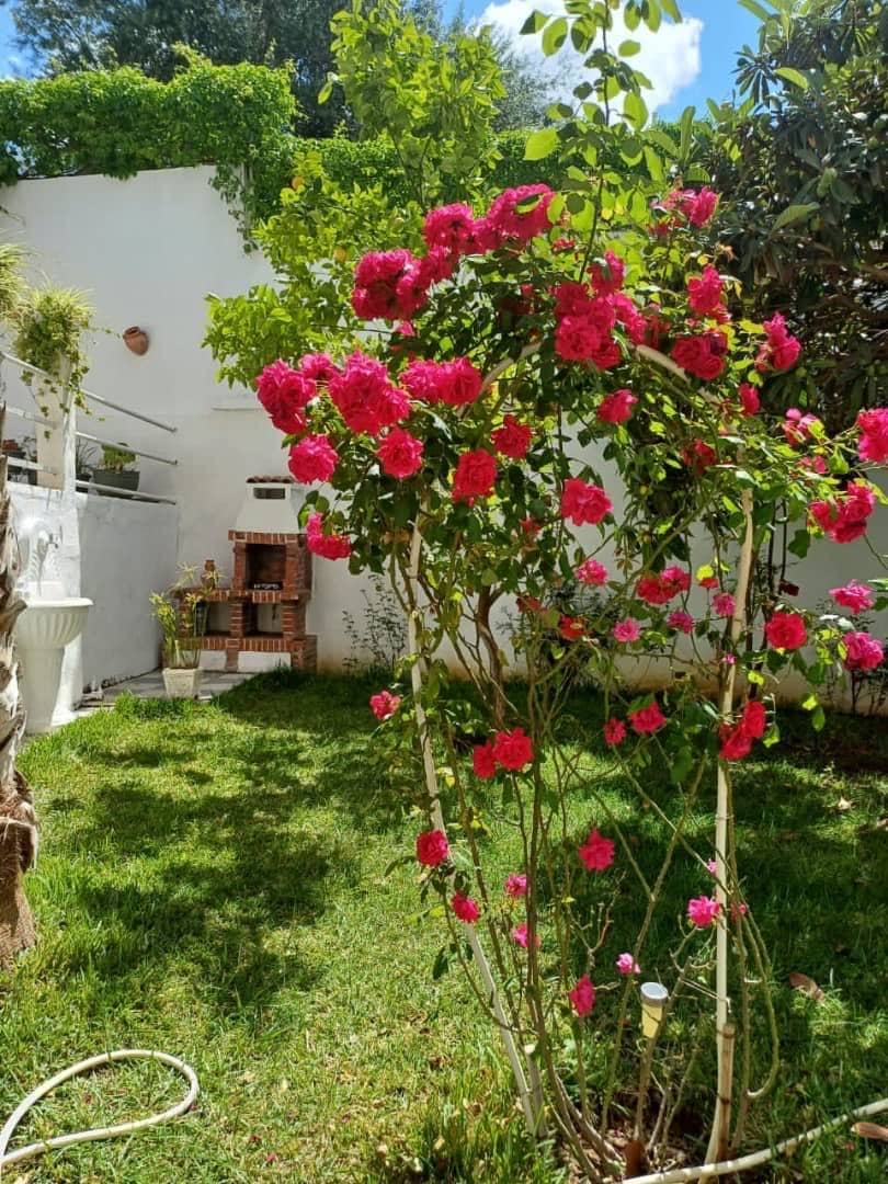 Villa à vendre 9
