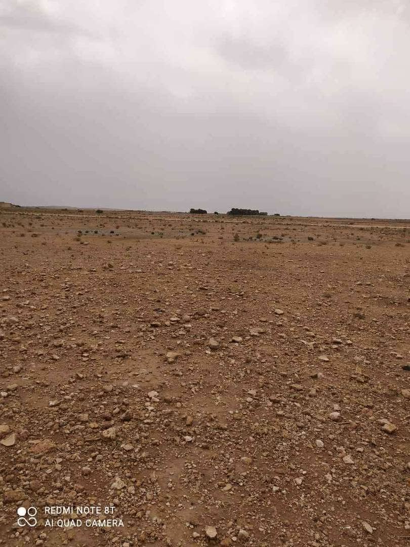 Terrain à de 13 hectares à vendre – hassi fedoul, wilaya de djelfa 7