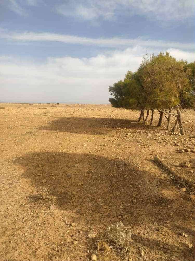 Terrain à de 13 hectares à vendre – hassi fedoul, wilaya de djelfa 8