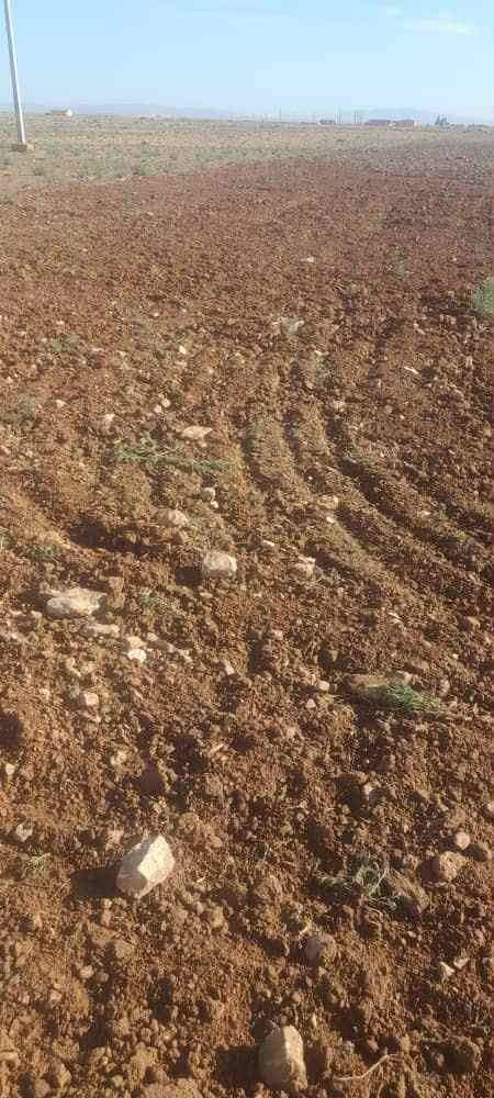 Terrain à de 13 hectares à vendre – hassi fedoul, wilaya de djelfa 3