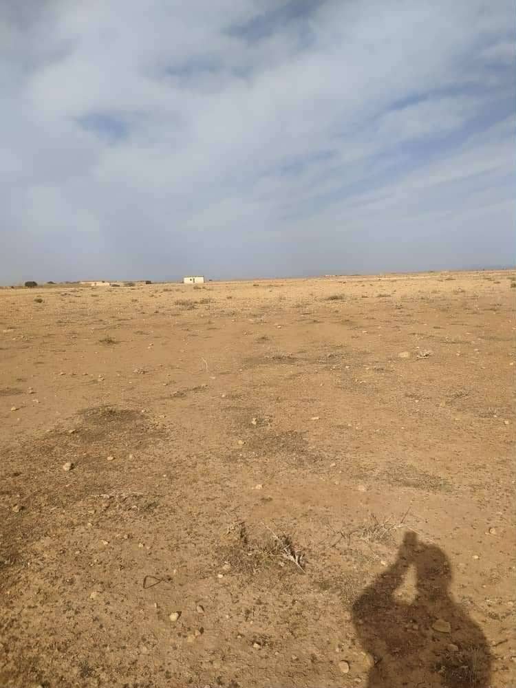 Terrain à de 13 hectares à vendre – hassi fedoul, wilaya de djelfa 9