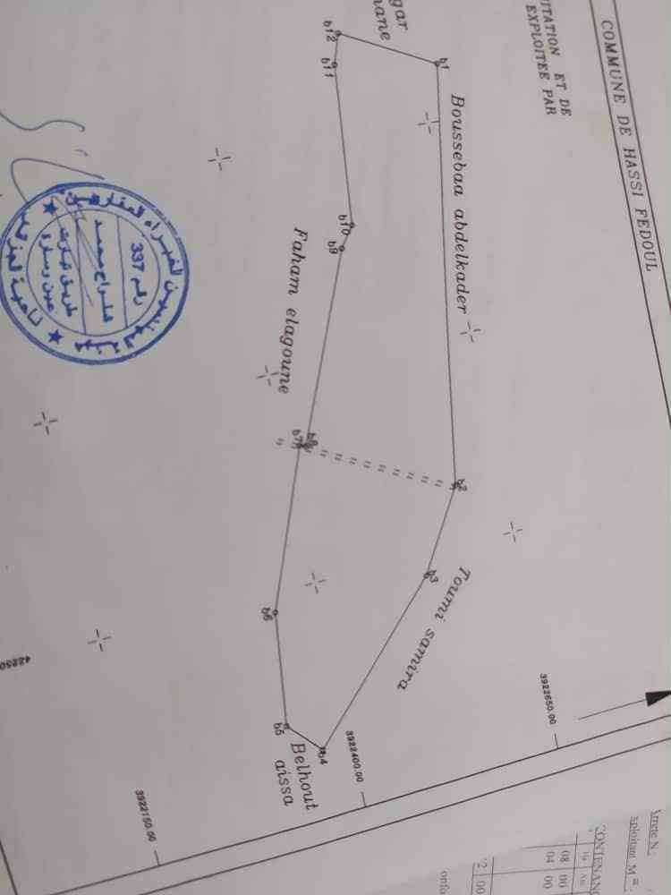 Terrain à de 13 hectares à vendre – hassi fedoul, wilaya de djelfa