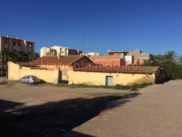 Vente Bungalow Oran Oued Tlelat 11