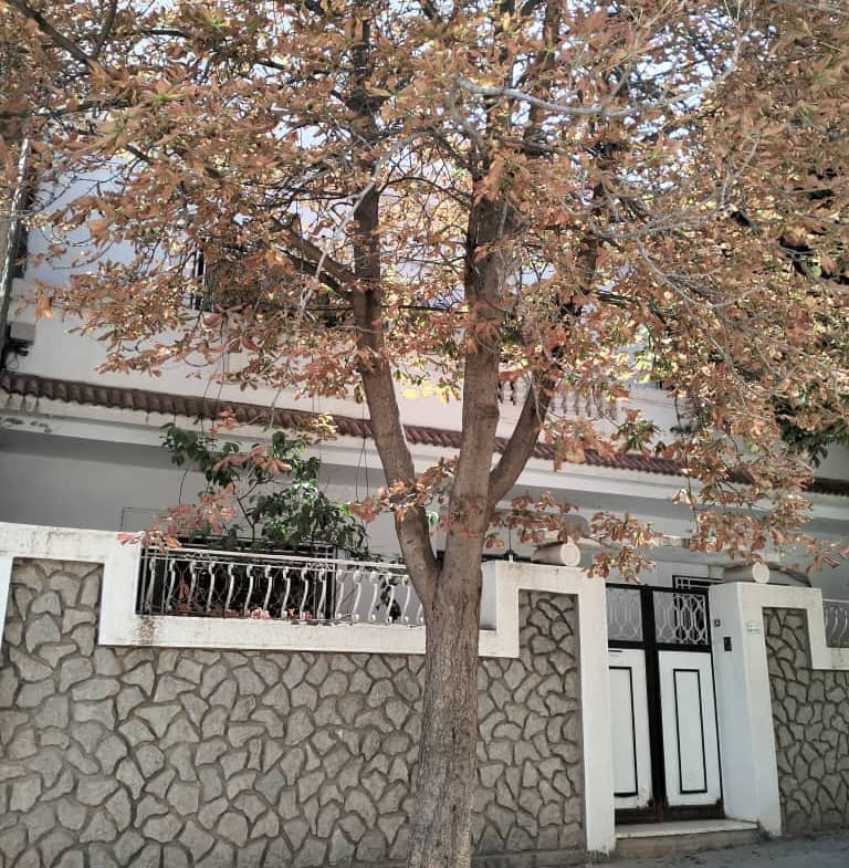 Location villa