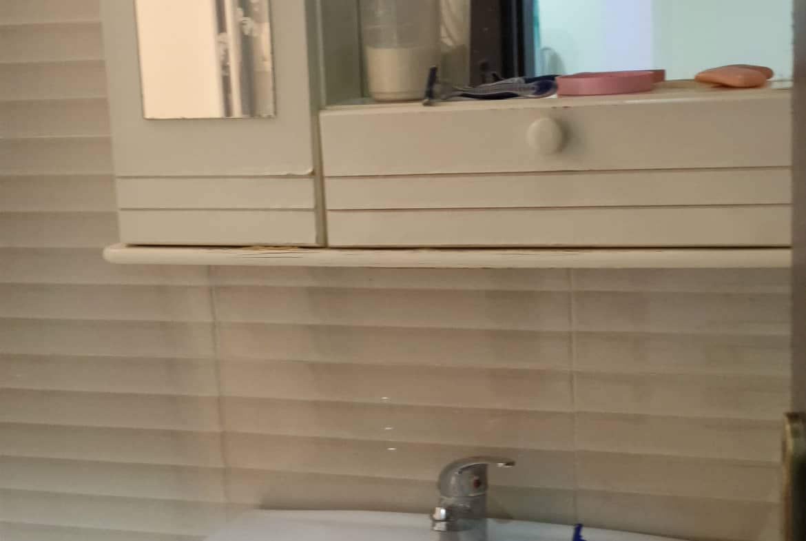 appartement F2 meublé Millinium votre 4