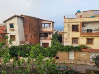 location F2 gassiot annaba 7