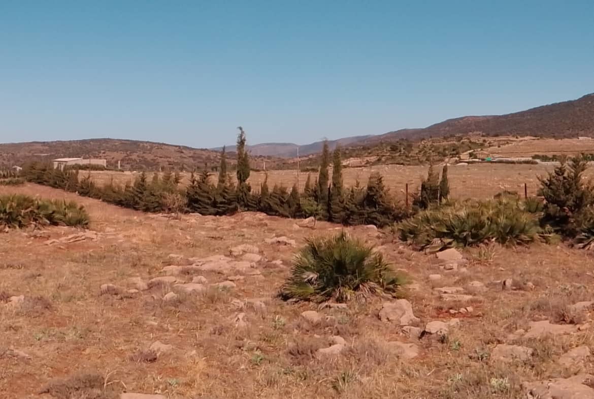 Terrain agricole 4