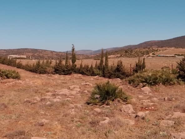 Terrain agricole 10