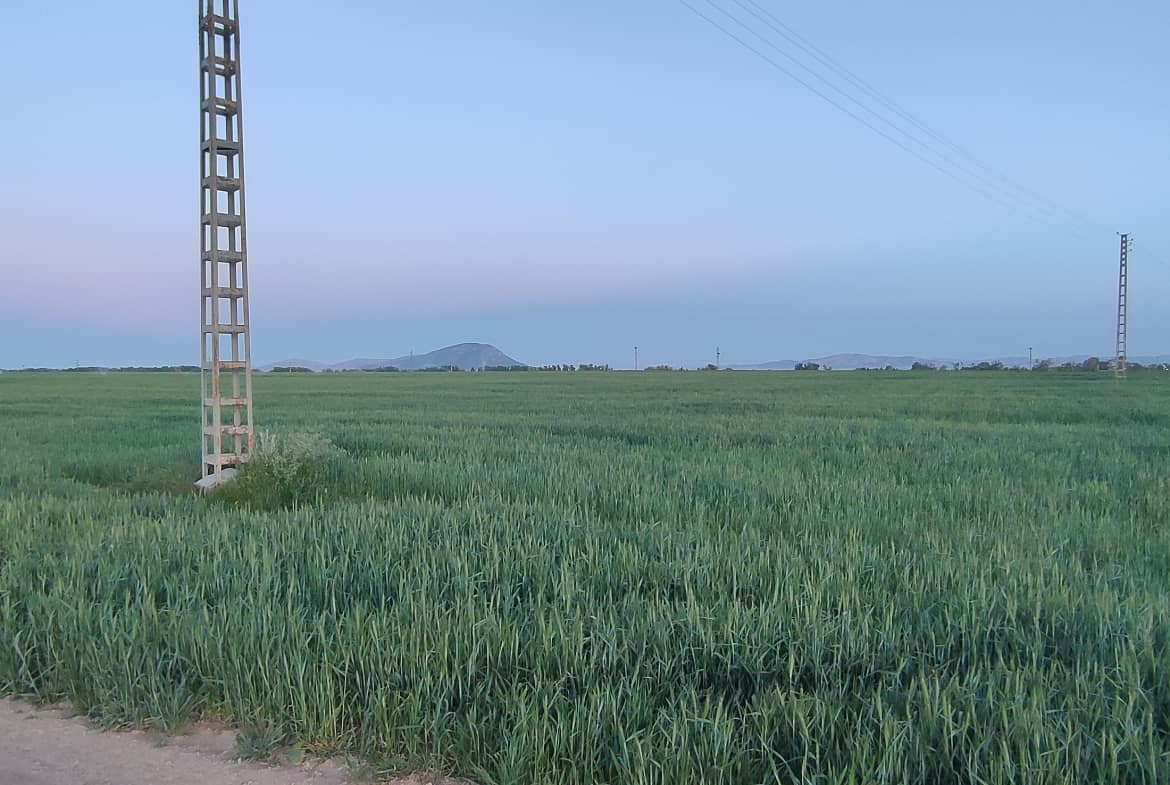 A VENDRE TERRAINS AGRICOLES 4