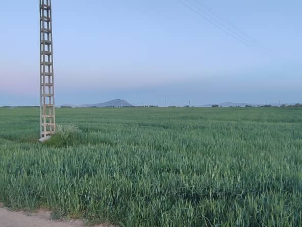 A VENDRE TERRAINS AGRICOLES 9
