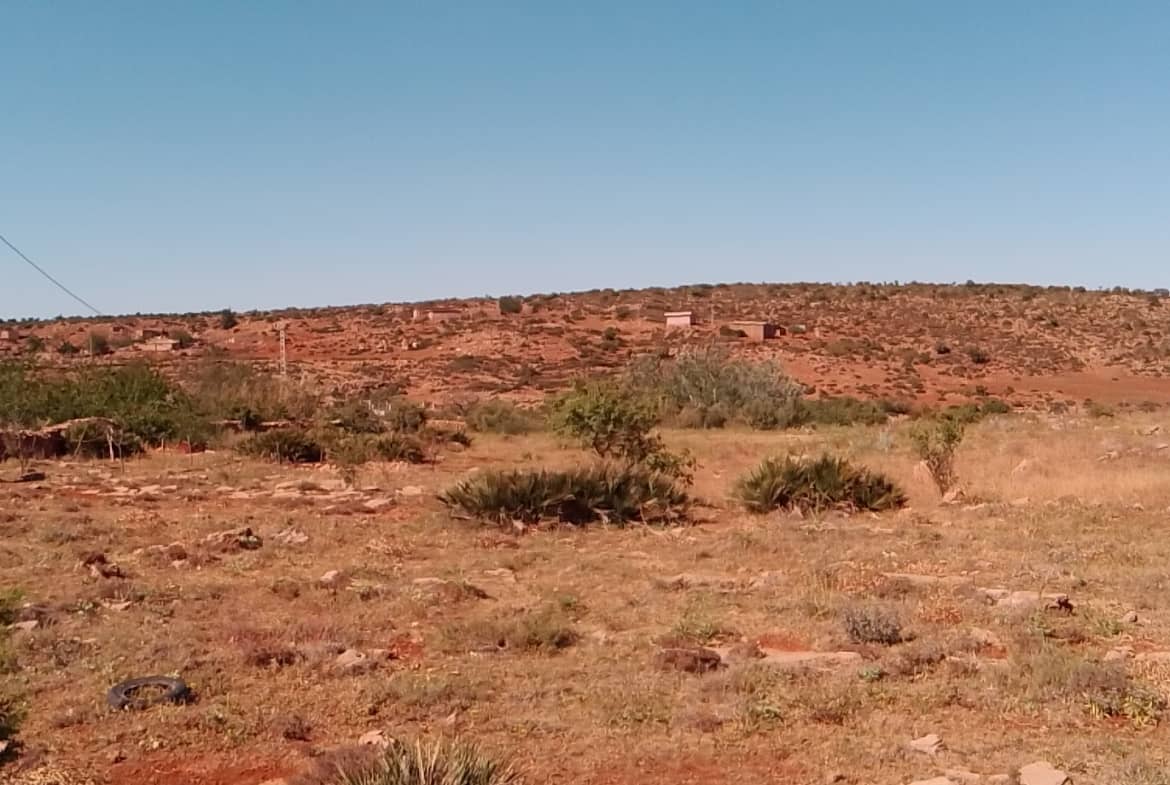 Terrain agricole 3