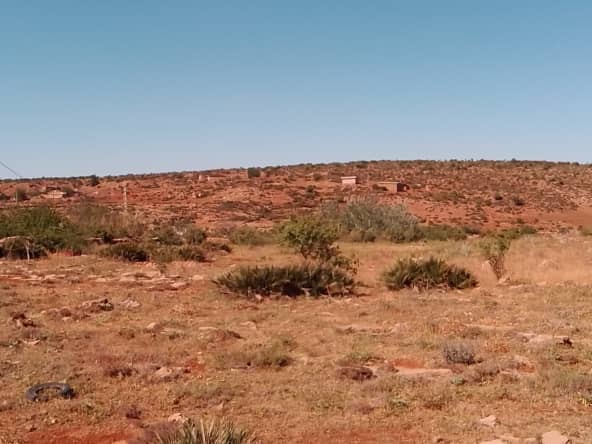 Terrain agricole 9