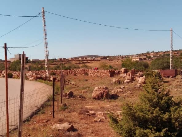 Terrain agricole 11
