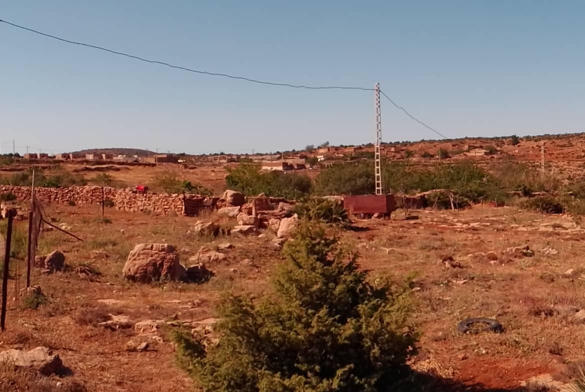 Terrain agricole 2