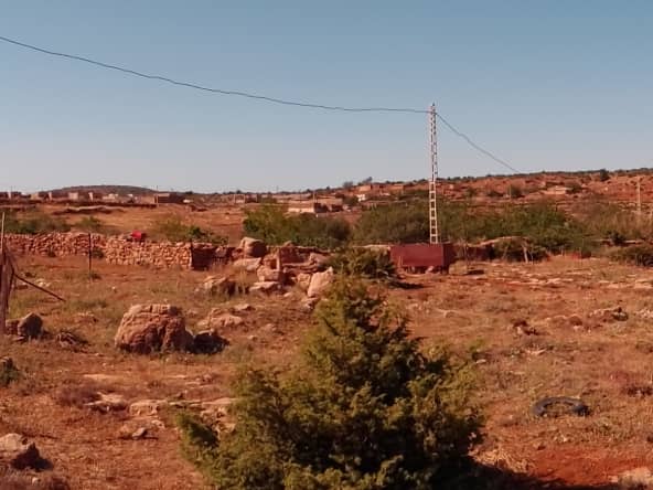 Terrain agricole 8